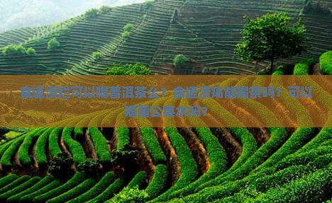 食道溃烂可以喝普洱茶么？食道溃疡能喝茶吗？可以喝蒲公英水吗？