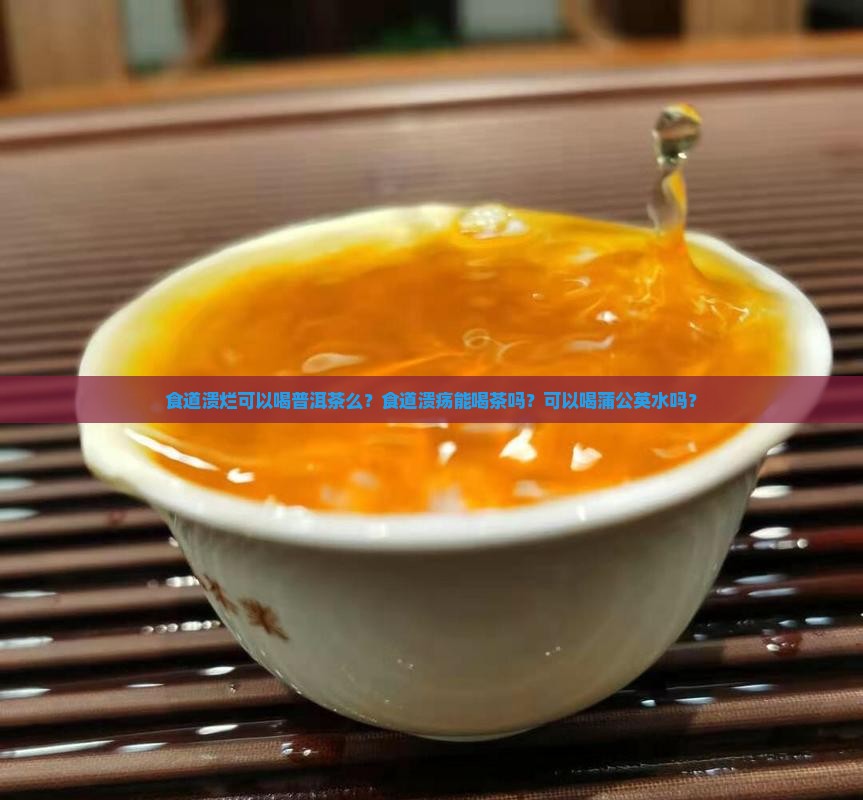 食道溃烂可以喝普洱茶么？食道溃疡能喝茶吗？可以喝蒲公英水吗？