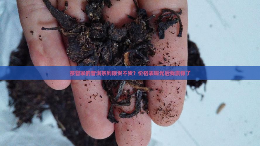 茶管家的普洱茶到底贵不贵？价格表曝光后我震惊了