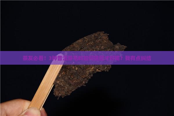 茶友必看！3种普洱茶毛料如何搭配才好喝？我有点纠结