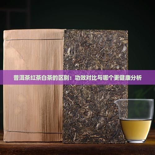 普洱茶红茶白茶的区别：功效对比与哪个更健康分析