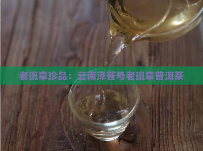 老班章珍品：云南泽苍号老班章普洱茶