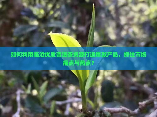 如何利用临沧优质普洱茶资源打造爆款产品，抓住市场痛点与热点？