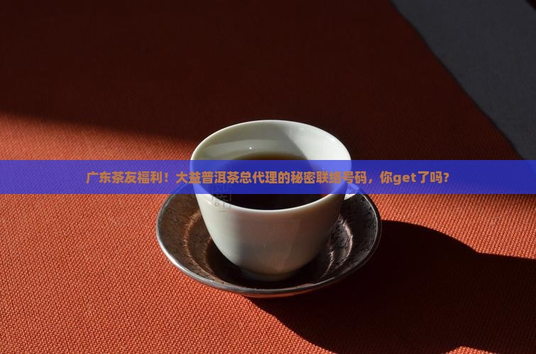 广东茶友福利！大益普洱茶总代理的秘密联络号码，你get了吗？