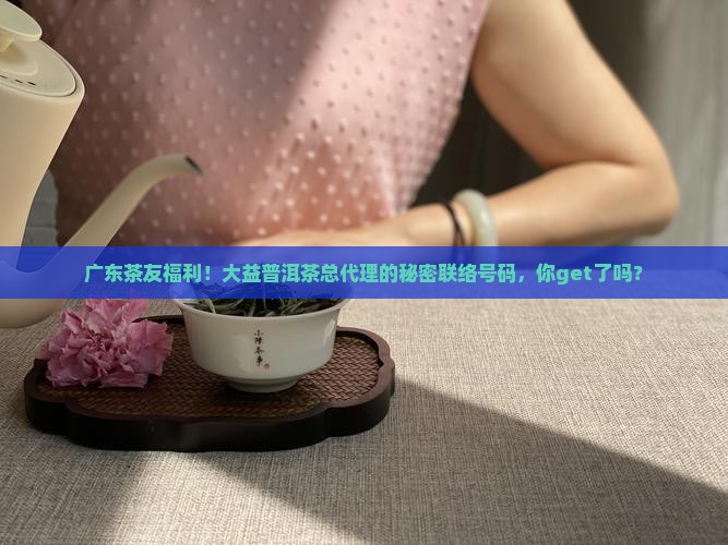 广东茶友福利！大益普洱茶总代理的秘密联络号码，你get了吗？