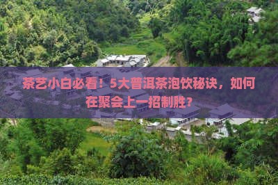 茶艺小白必看！5大普洱茶泡饮秘诀，如何在聚会上一招制胜？