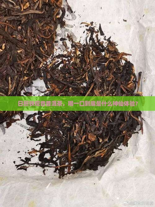 日照铁观音普洱茶，喝一口到底是什么神仙体验？