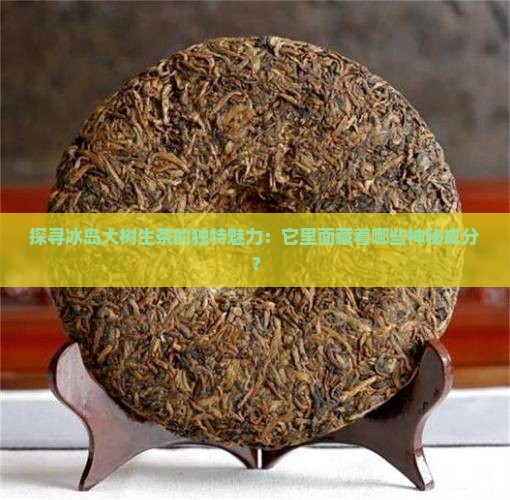 探寻冰岛大树生茶的独特魅力：它里面藏着哪些神秘成分？