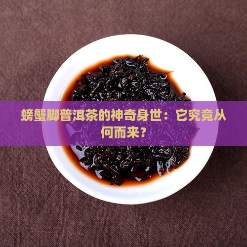 螃蟹脚普洱茶的神奇身世：它究竟从何而来？