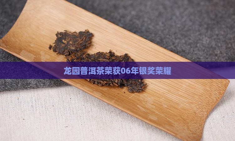 龙园普洱茶荣获06年银奖荣耀