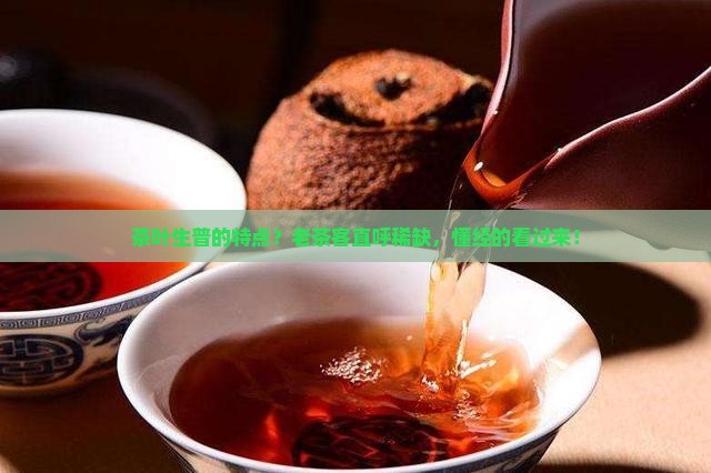 茶叶生普的特点？老茶客直呼稀缺，懂经的看过来！