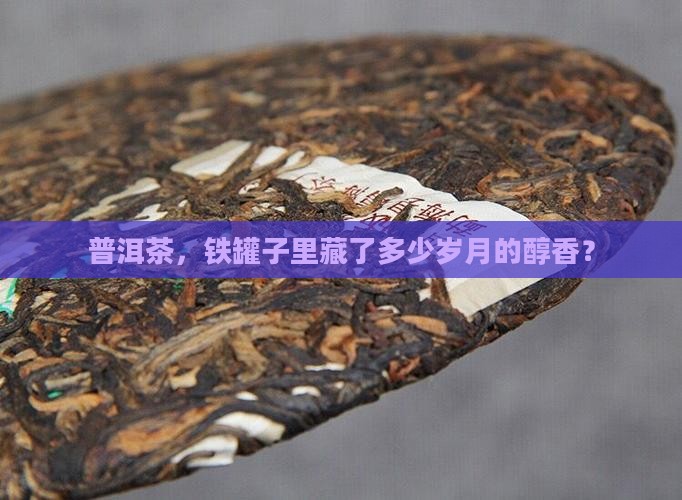 普洱茶，铁罐子里藏了多少岁月的醇香？