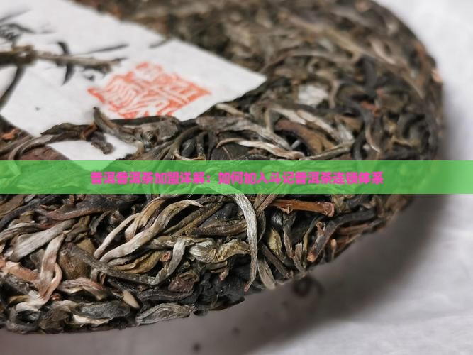 普洱普洱茶加盟详解：如何加入斗记普洱茶连锁体系