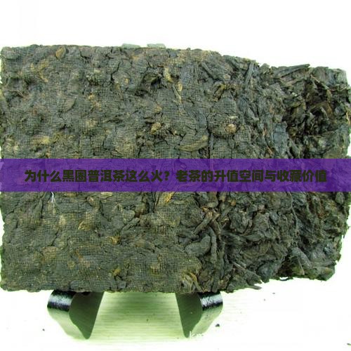 为什么黑圈普洱茶这么火？老茶的升值空间与收藏价值