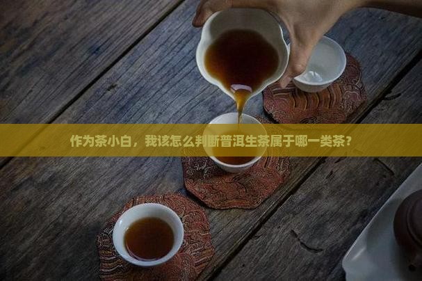 作为茶小白，我该怎么判断普洱生茶属于哪一类茶？