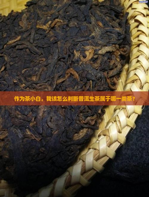 作为茶小白，我该怎么判断普洱生茶属于哪一类茶？