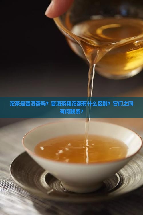 沱茶是普洱茶吗？普洱茶和沱茶有什么区别？它们之间有何联系？