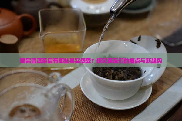 喝完普洱茶后有哪些真实感受？探究茶友们的痛点与新趋势