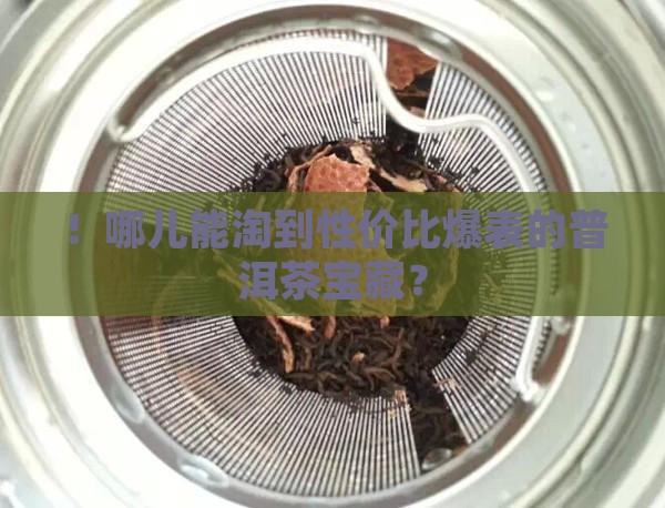 ！哪儿能淘到性价比爆表的普洱茶宝藏？