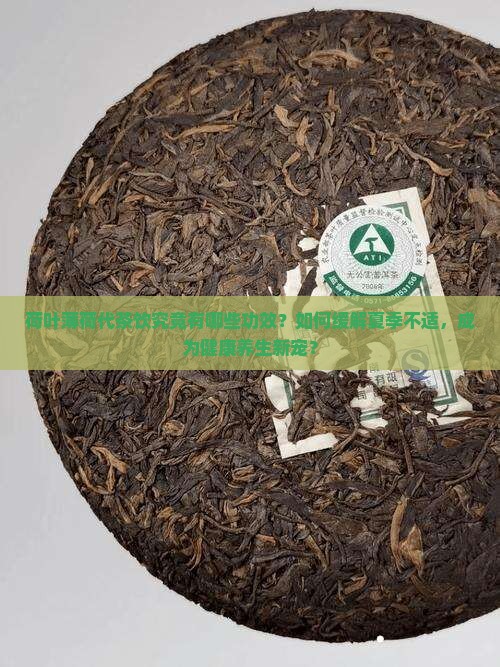 荷叶薄荷代茶饮究竟有哪些功效？如何缓解夏季不适，成为健康养生新宠？