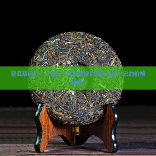 普洱茶迷们，云普天下这款茶价到底怎么样？它的价格秘密！