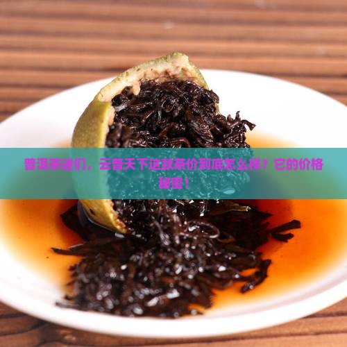 普洱茶迷们，云普天下这款茶价到底怎么样？它的价格秘密！