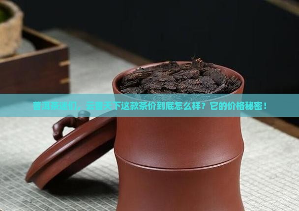 普洱茶迷们，云普天下这款茶价到底怎么样？它的价格秘密！