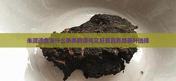 朱泥适合泡什么茶养的漂亮又好看且养颜茶叶选择