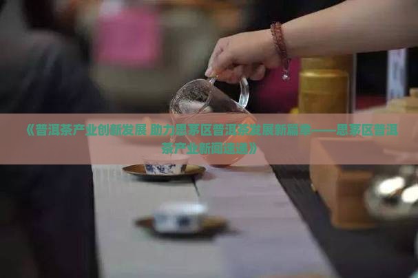 《普洱茶产业创新发展 助力思茅区普洱茶发展新篇章——思茅区普洱茶产业新闻速递》