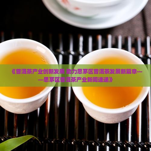 《普洱茶产业创新发展 助力思茅区普洱茶发展新篇章——思茅区普洱茶产业新闻速递》