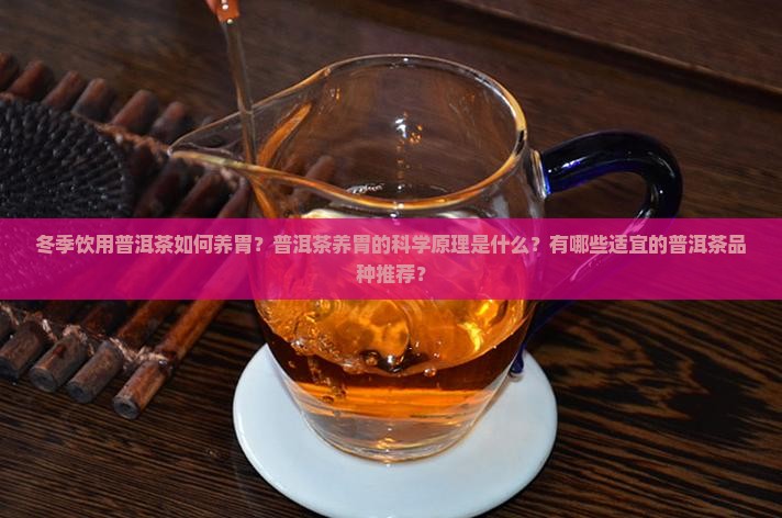 冬季饮用普洱茶如何养胃？普洱茶养胃的科学原理是什么？有哪些适宜的普洱茶品种推荐？