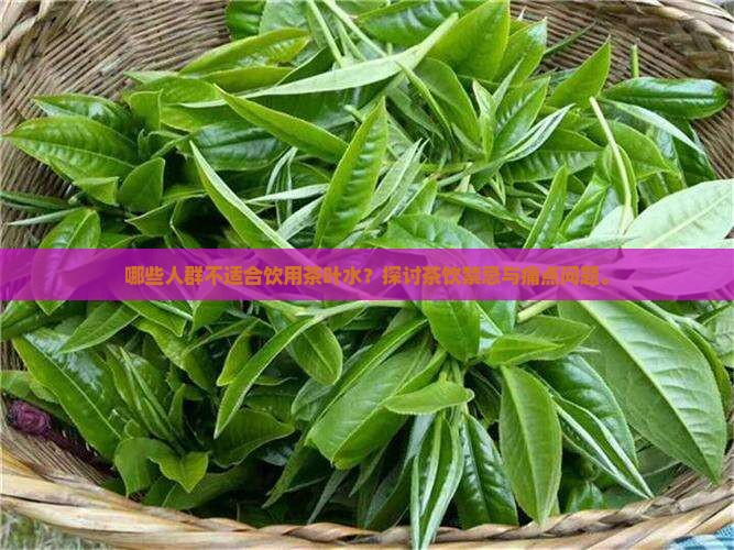 哪些人群不适合饮用茶叶水？探讨茶饮禁忌与痛点问题。