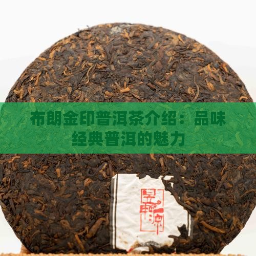 布朗金印普洱茶介绍：品味经典普洱的魅力