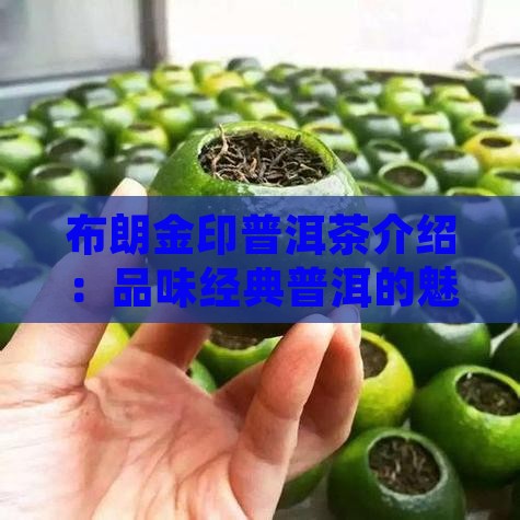 布朗金印普洱茶介绍：品味经典普洱的魅力