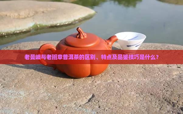 老曼峨与老班章普洱茶的区别、特点及品鉴技巧是什么？