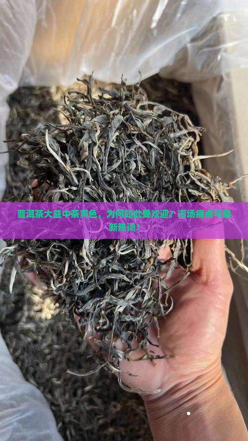 普洱茶大益中茶黄色，为何如此受欢迎？市场痛点与最新热词！