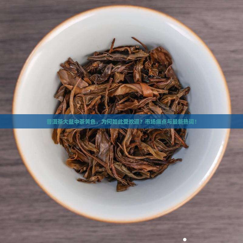 普洱茶大益中茶黄色，为何如此受欢迎？市场痛点与最新热词！