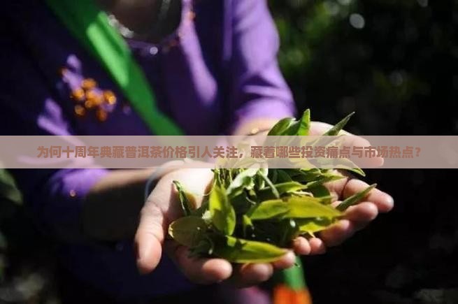 为何十周年典藏普洱茶价格引人关注，藏着哪些投资痛点与市场热点？