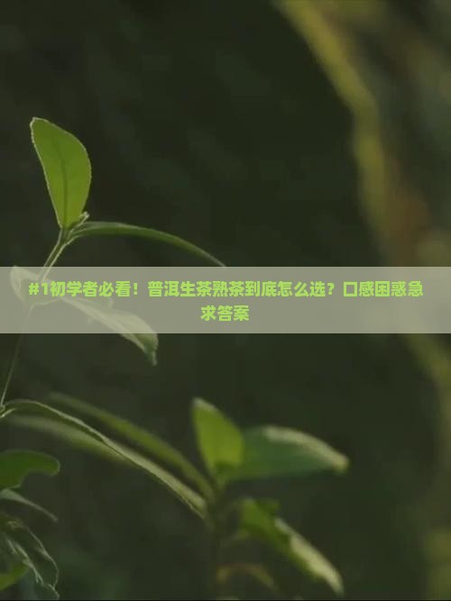 #1初学者必看！普洱生茶熟茶到底怎么选？口感困惑急求答案