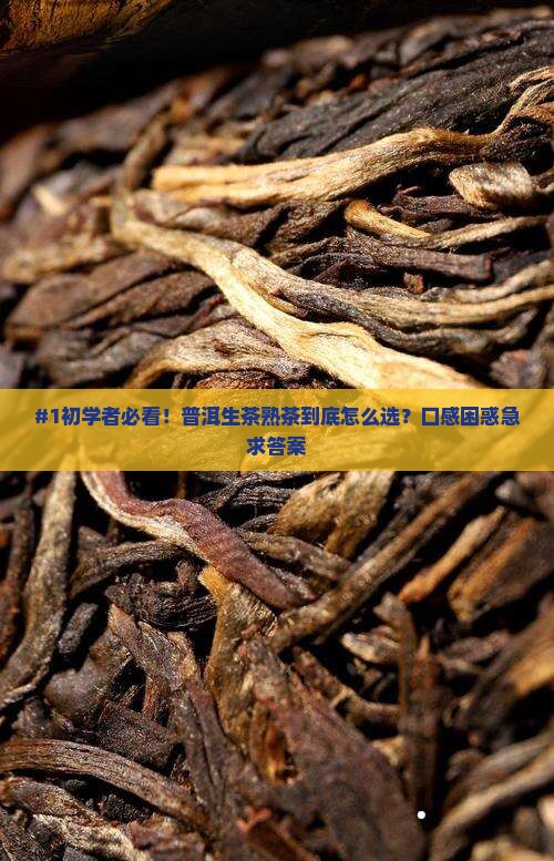 #1初学者必看！普洱生茶熟茶到底怎么选？口感困惑急求答案