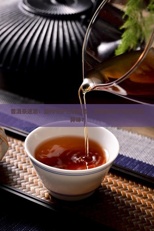 普洱茶迷思：如何守护它的原香，避开那些不请自来的异味？