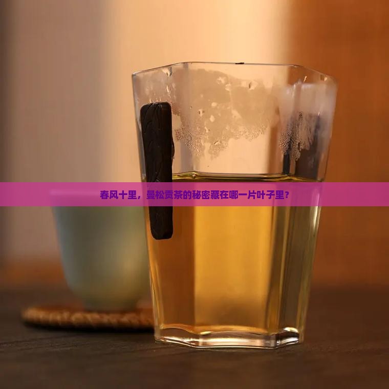 春风十里，曼松贡茶的秘密藏在哪一片叶子里？