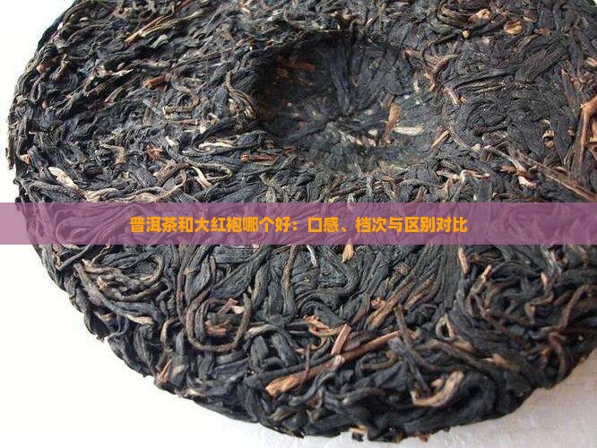 普洱茶和大红袍哪个好：口感、档次与区别对比