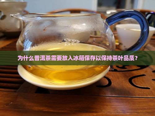 为什么普洱茶需要放入冰箱保存以保持茶叶品质？