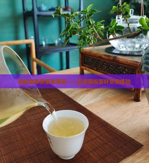 曼松皇家贡茶普洱茶——正宗曼松茶叶贡茶体验