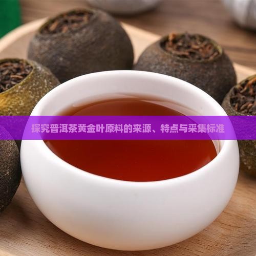 探究普洱茶黄金叶原料的来源、特点与采集标准