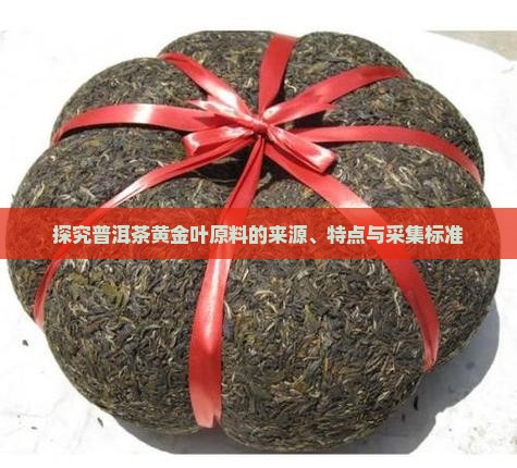 探究普洱茶黄金叶原料的来源、特点与采集标准