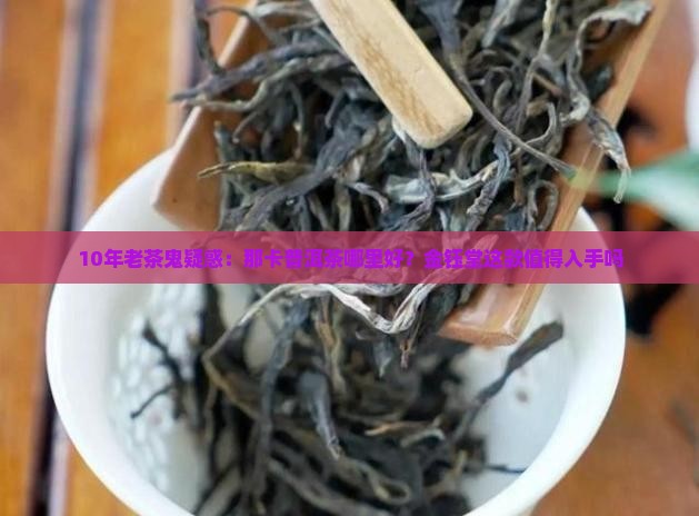 10年老茶鬼疑惑：那卡普洱茶哪里好？金钰堂这款值得入手吗