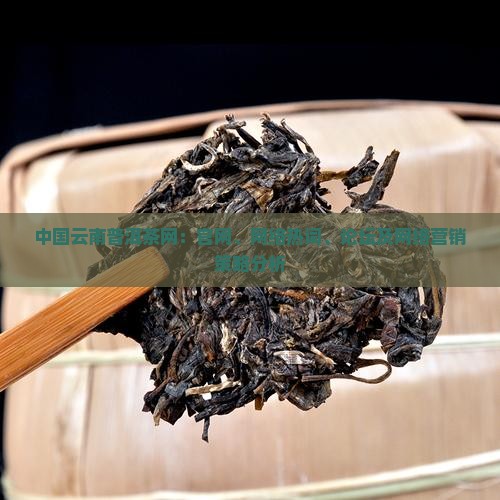 中国云南普洱茶网
