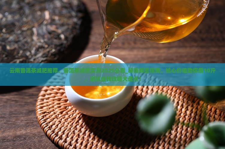 云南普洱茶减肥推荐